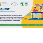 Request for Expressions of Interest : API Implementation Consultant Zimbabwe